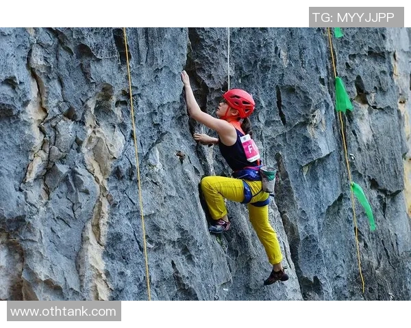武汉攀岩队的奋斗之路:一段勇攀高峰的纪实旅程与心路历程